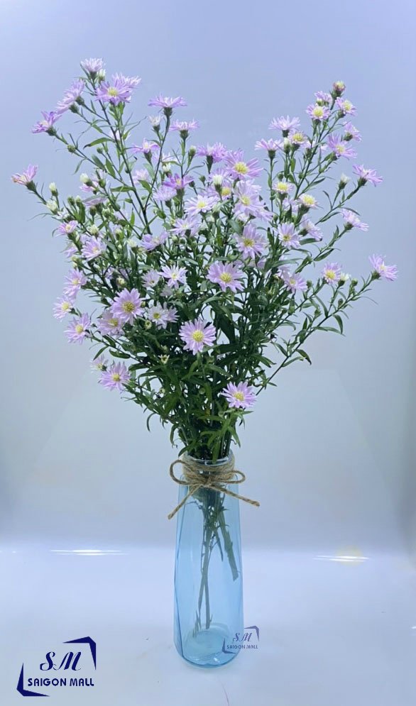 Bình bông lọ hoa thủy tinh đủ Màu cao cấp họa tiết kim cương + Tặng kèm dây sơ dừa trang trí