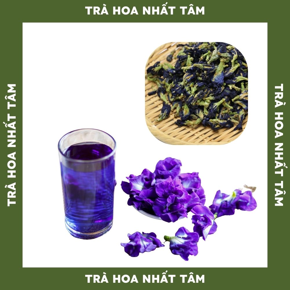 Trà hoa đậu biếc - trà hoa thảo mộc tự nhiên