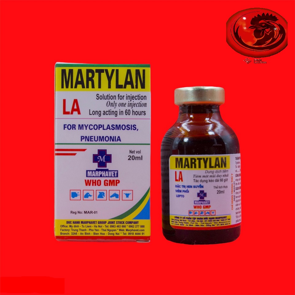 Martylan khò khè cho gà đá