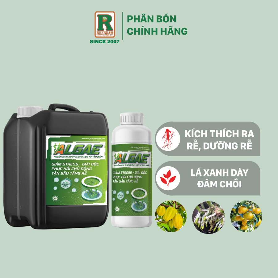 Phân bón tảo biển sinh học ALGAE 1L & 5L