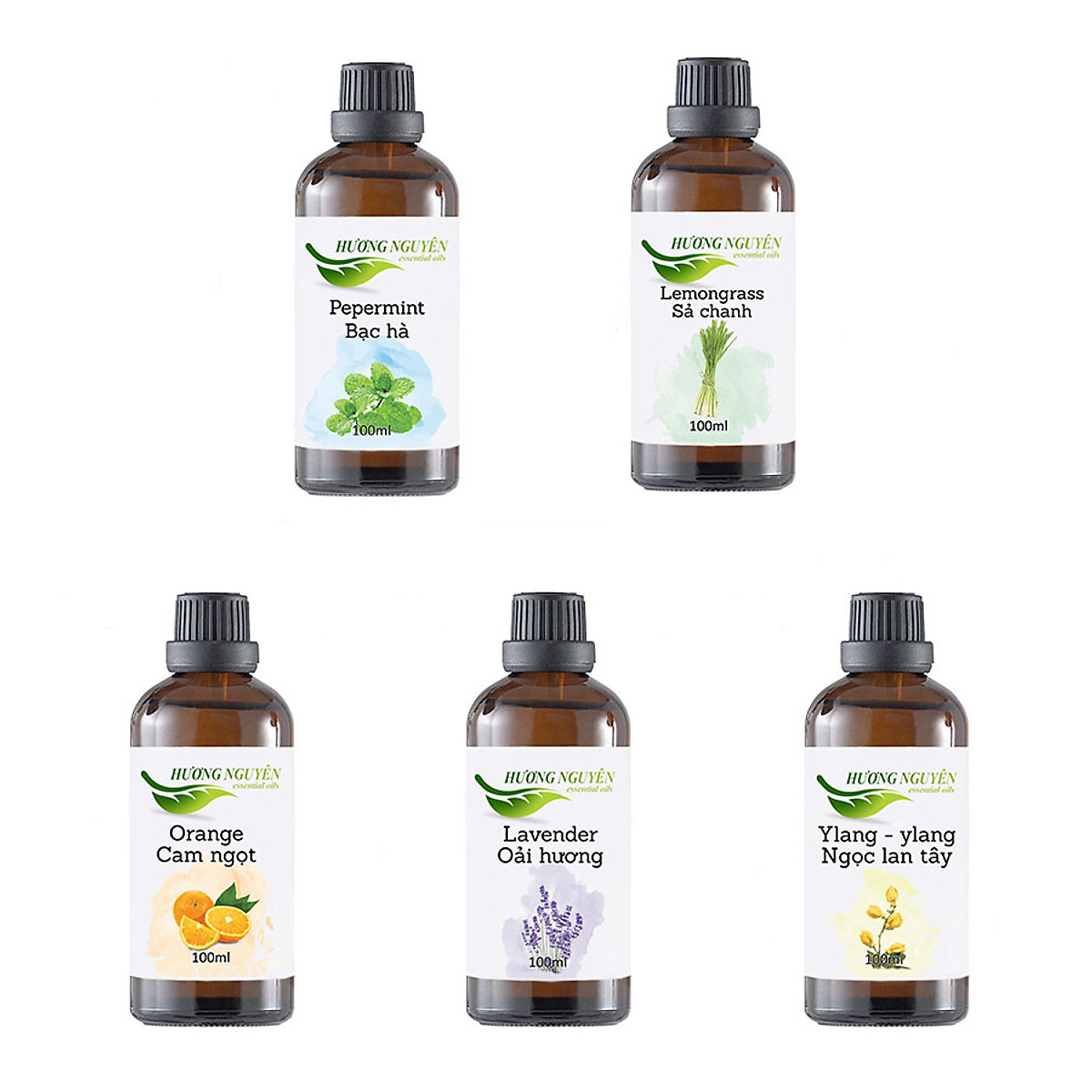 | tinh dầu thiên nhiên hương nguyên | dung tích 100ml có kiểm định | nhập khẩu ấn độ