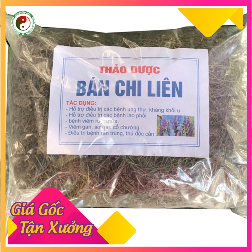 Bán Chi Liên (Hoàng Cầm Râu) Giúp Cải Thiện Bệnh Ruột Thừa Lao Phổi