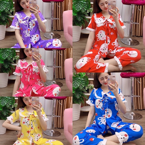 ĐỒ BỘ NGỦ- TIỂU THƯ LỤA HÀN- PIJAMA ĐỒ NGỦ NỮ DƯỚI 55kg CAM KẾT GIỐNG HÌNH 100%