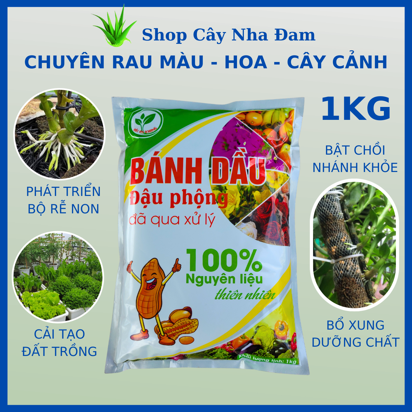 Phân bón bánh dầu đậu phộng nguyên chất, phân bón hữu cơ sử dụng cho mọi cây trồng, rau sạch
