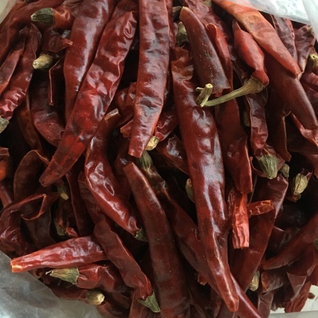 Ớt khô cay nguyên trái siêu thơm ngon gói 500gr
