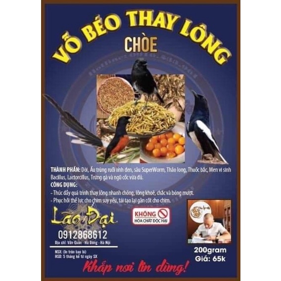 Cám vỗ béo thay lông choè-lão đại