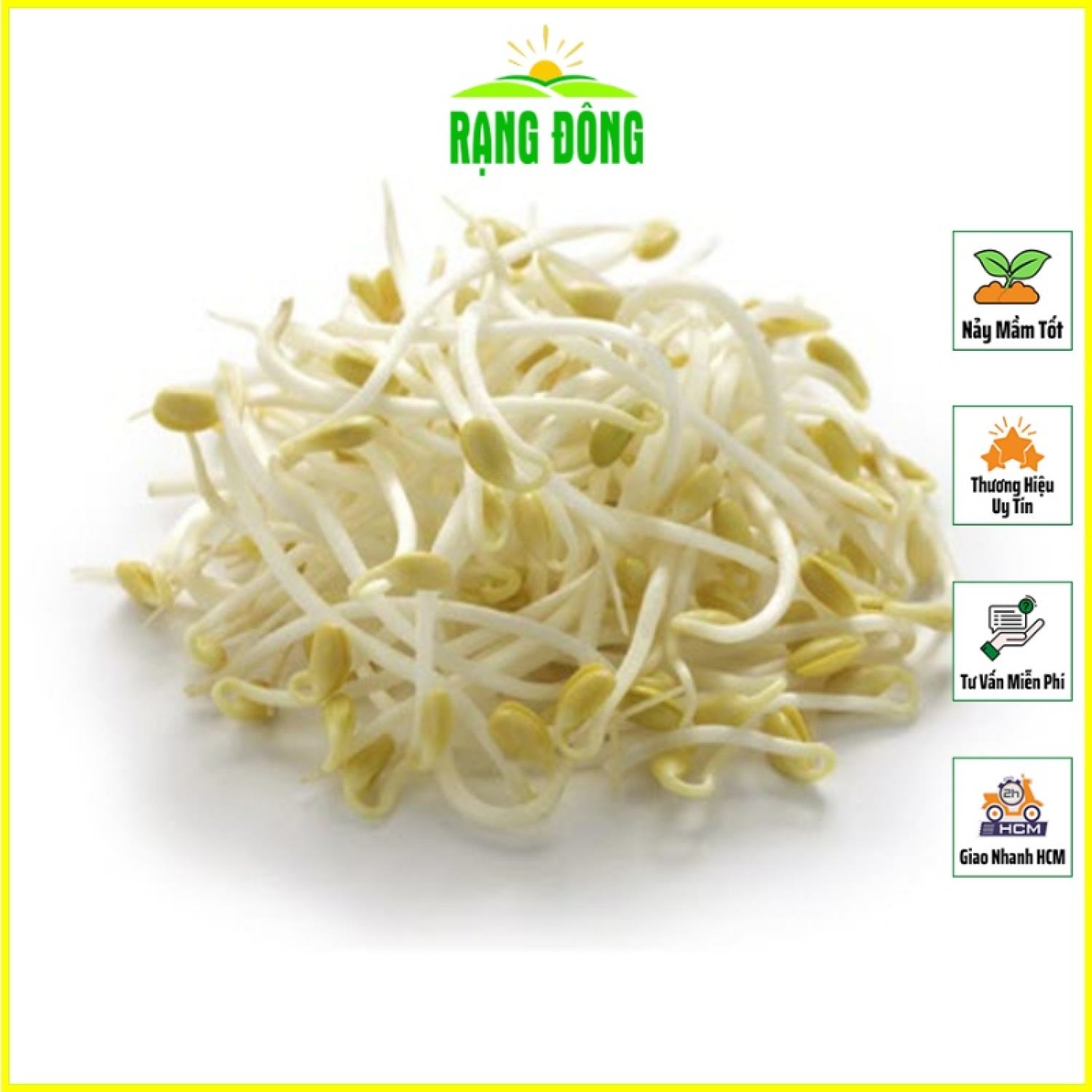 Hạt giống rau mầm giá đậu xanh dễ trồng, thu hoạch nhanh - hạt giống rạng đông