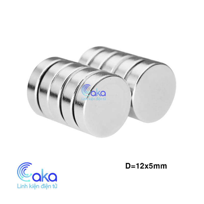 Nam châm đất hiếm 12x5 mm nam châm vĩnh cửu