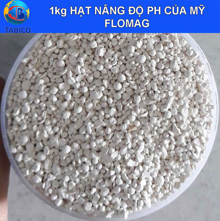 1kg Hạt Lọc Nước Nâng PH Mỹ Plogmag, nâng PH hồ cá, máy điện giải ion kiềm