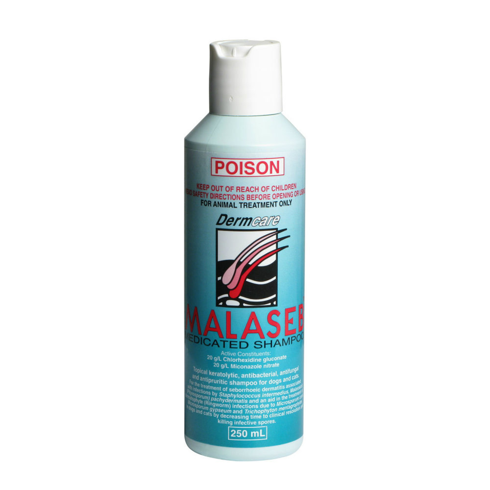 Sữa tắm nấm và viêm da cho chó mèo Malaseb 250ml