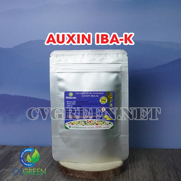 Siêu kích rễ Auxin IBA-K 98%, điều hòa sinh trưởng - tan trong nước (gói 50g)