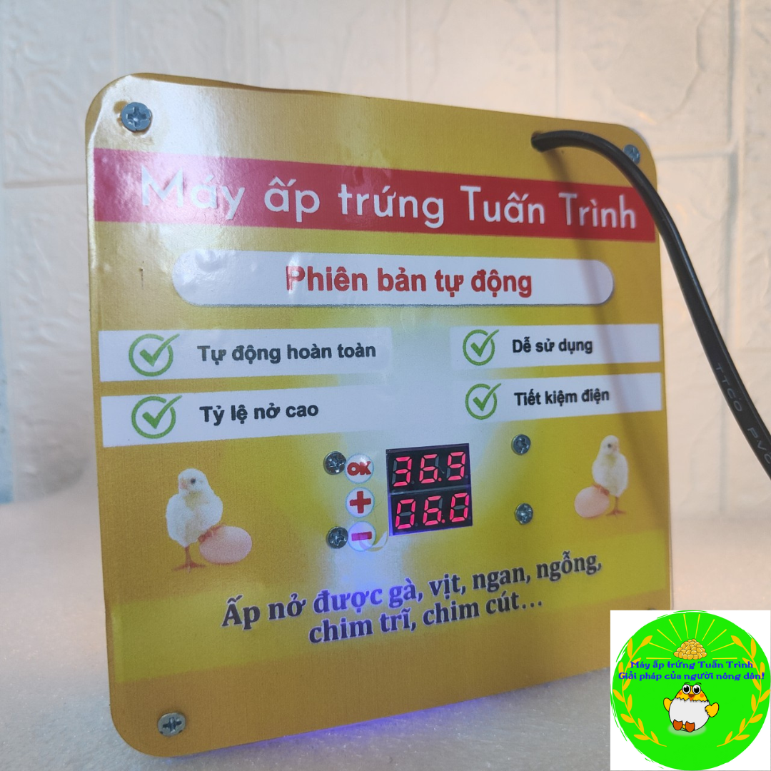 Bộ máy ấp trứng tự động