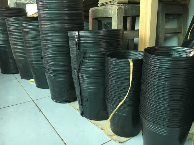 10 cái chậu nhựa C12 đen bít lỗ trồng sen sung loại 1 mềm dẻo dày đẹp