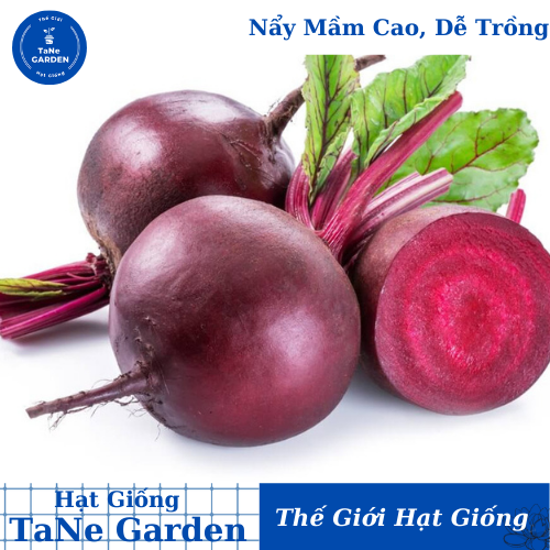 2gr hạt giống củ dền đỏ detroit - tane graden