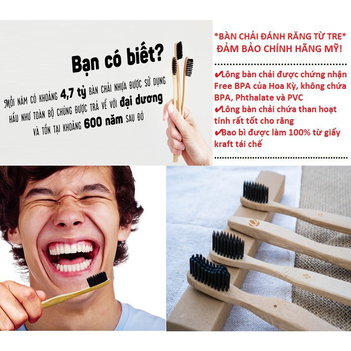 Bàn Chải Đánh Răng Từ Tre Pavicico Xx Mỹ - Leafhouse hcm