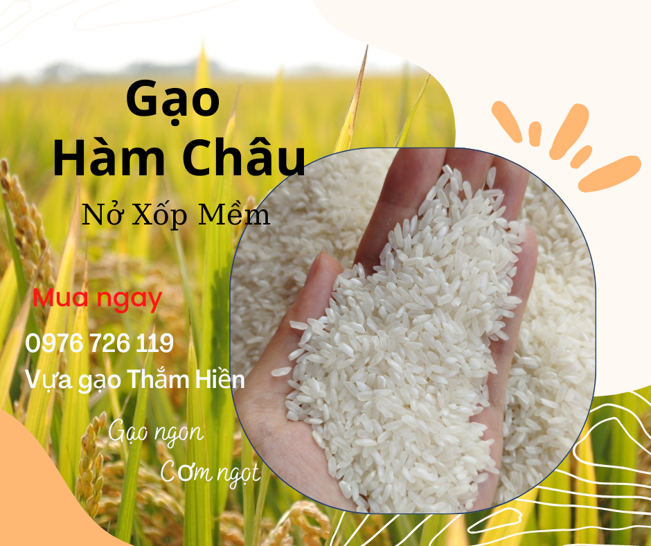 5kg gạo hàm châu - gạo nở xốp mềm - bena organic