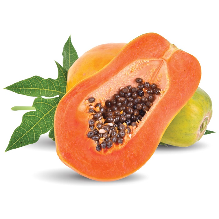 [HCM]Hạt giống đu đủ cao sản thu hoạch nhanh - Tặng thêm gói hạt ngẫu nhiên