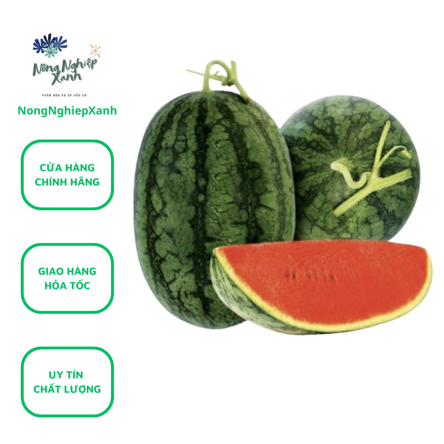 Bộ 5 gói Hạt giống Dưa Hấu F1 Nongnghiepxanh 0.5 hat giong sach hat giong dua hau