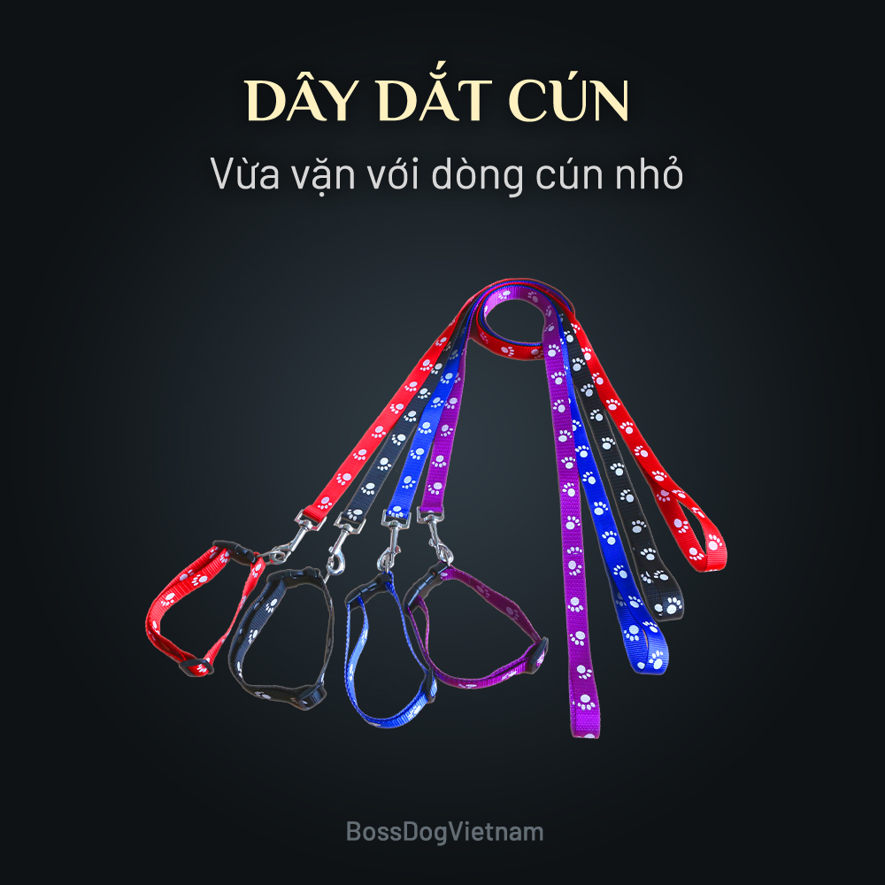 Dây dắt thú cưng cơ bản | BossDog