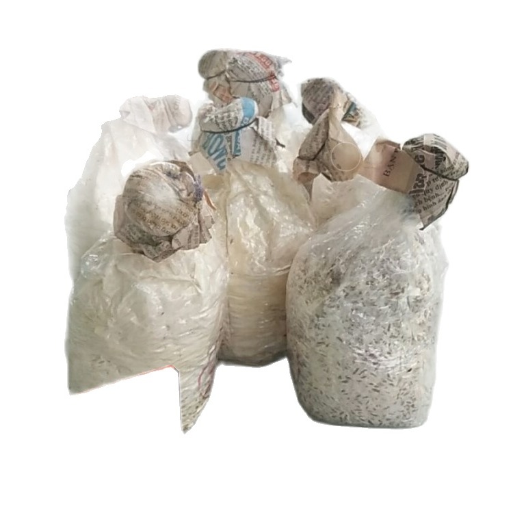 Meo giống nấm bào ngư trắng bịch 500gr