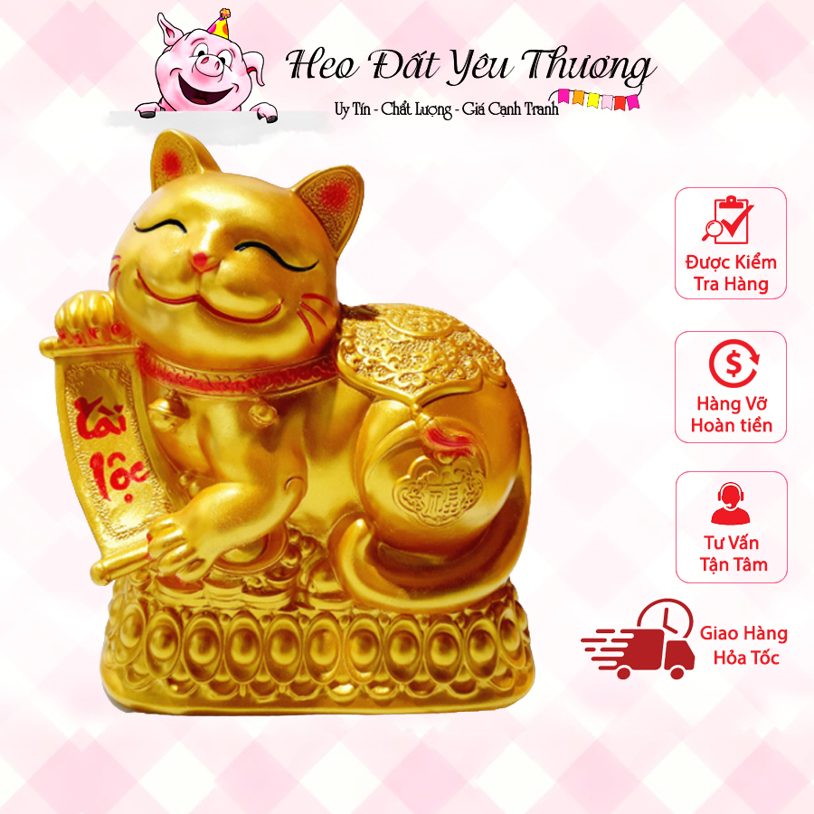 Mèo bệ vàng kích thước to và đại size 1 và size 2