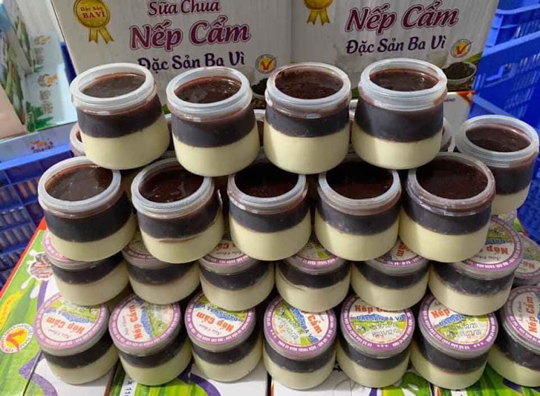 50 hũ nhựa đựng sữa chua 120ml