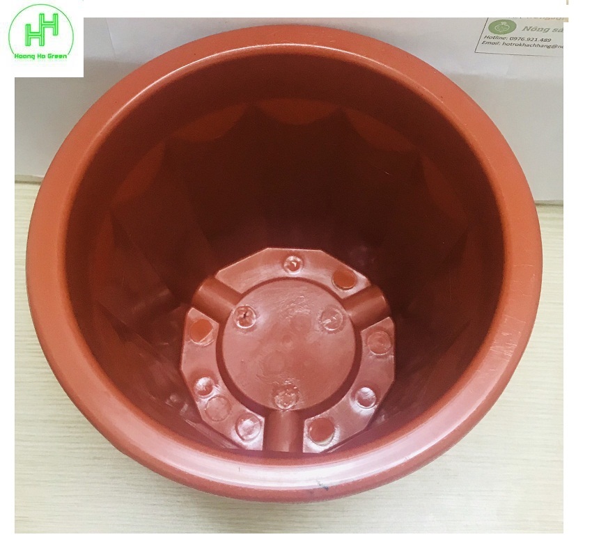 10 chậu nhựa trồng hoa, cây cảnh e280 nhựa bình thuận