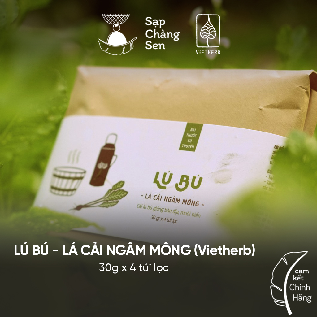 Lú bú - lá cải ngâm mông - 30g x 4 túi lọc