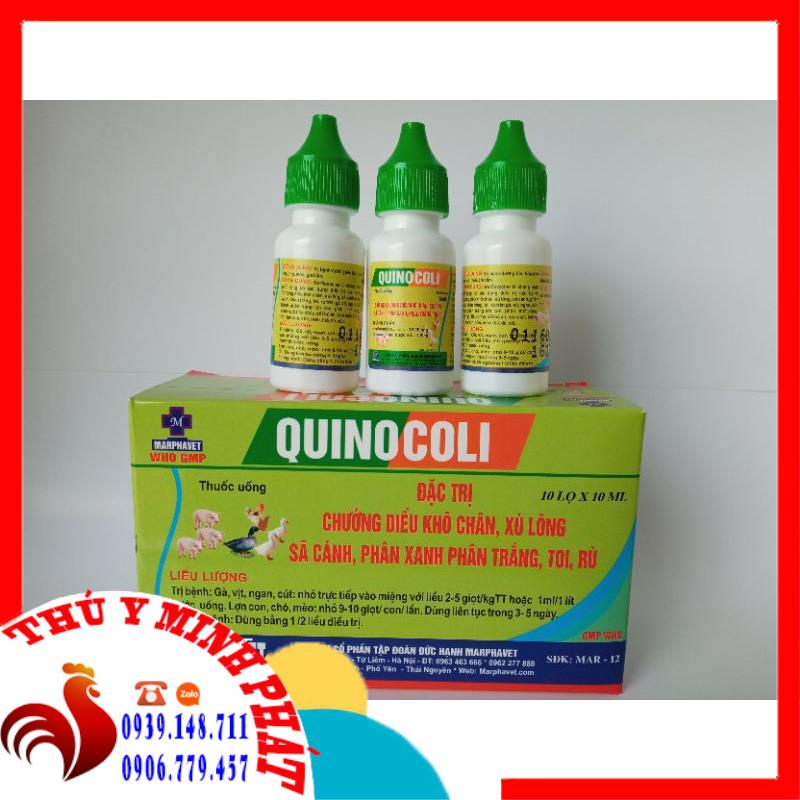 Quinocoli lọ 10ml chướng diều khô chân xù lông sã cánh phân xanh phân trắng toi rù