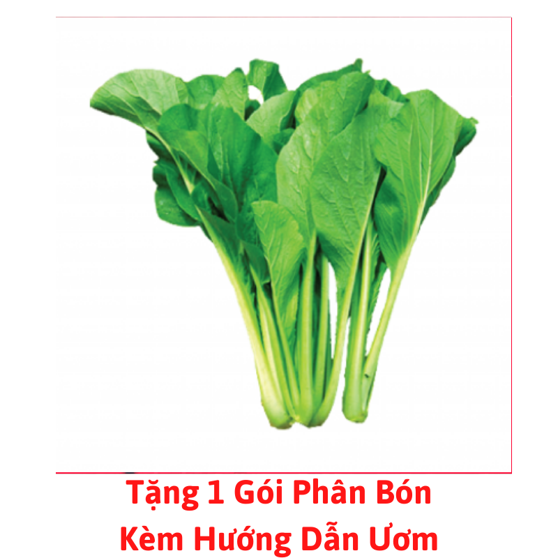 [Lấy mã giảm thêm 30%] Gói Hạt Giống Rau Cải Ngọt