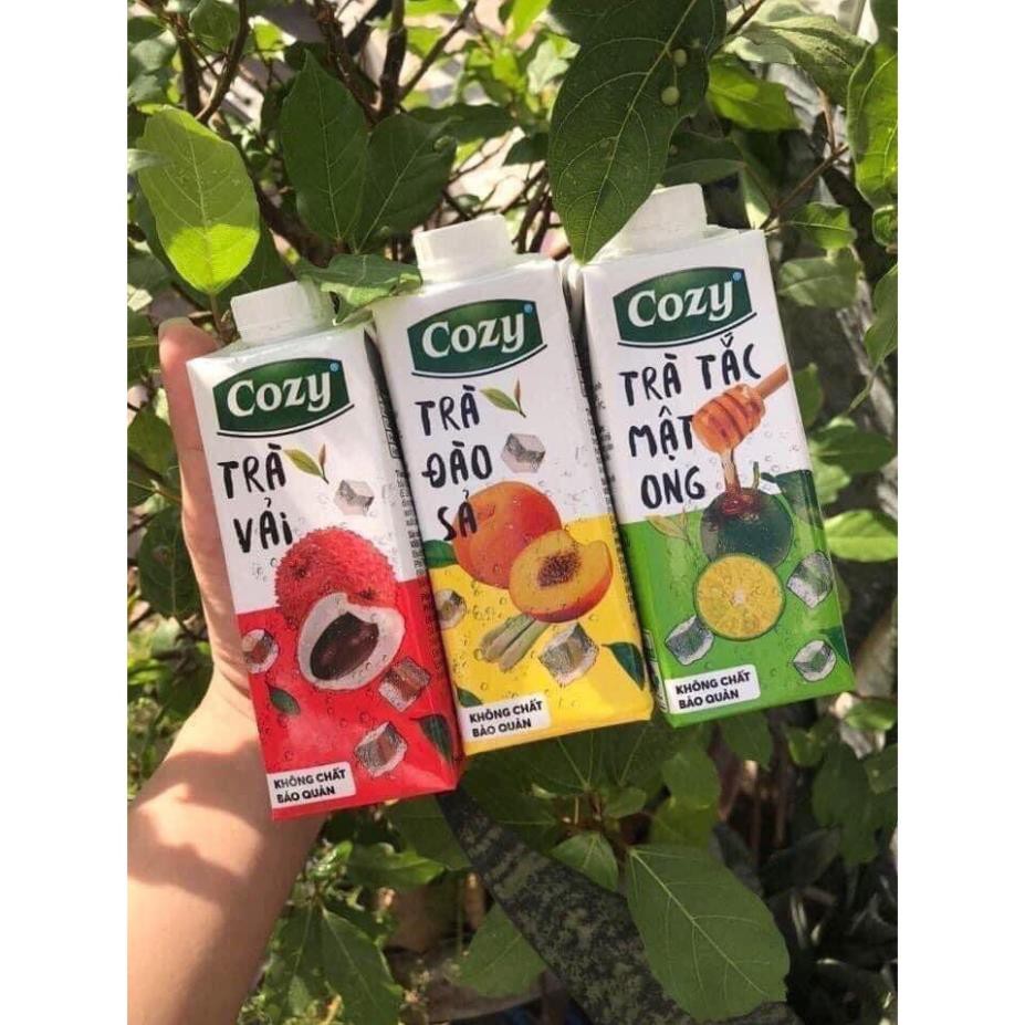 Trà cozy - Thùng mix vị