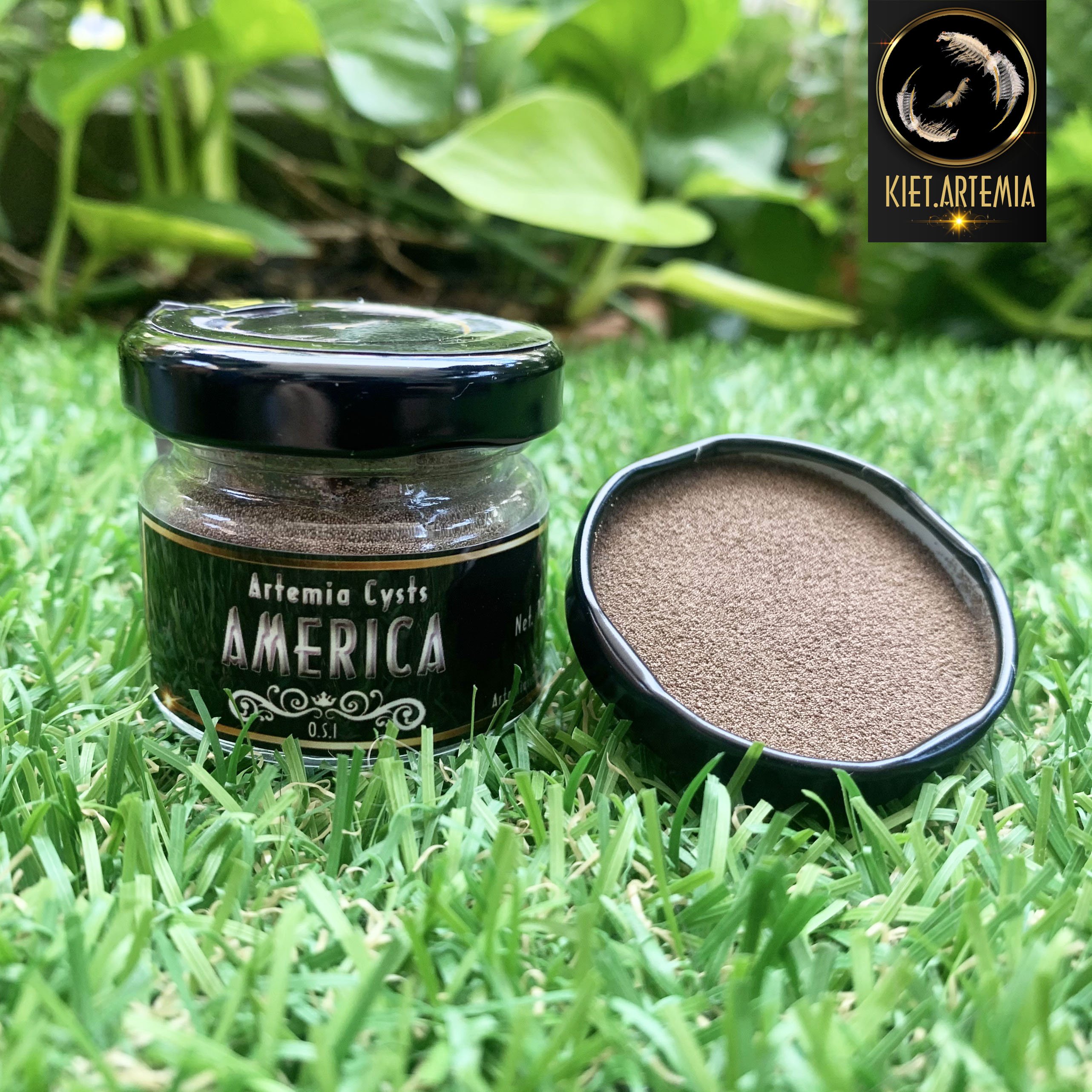 Artemia Mỹ Chất Lượng Quốc Tế, Artemia Mỹ tỉ lệ nở cao - Thức ăn cho cá cảnh cao cấp