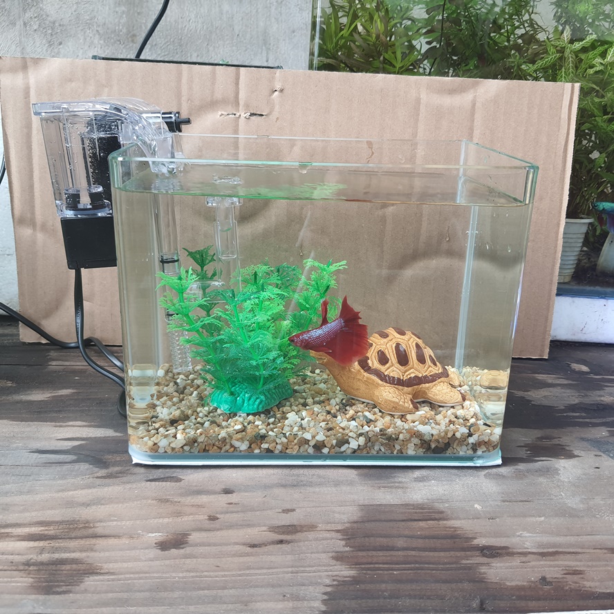 Bể cá mini 22 cm và 5 món (bể, sỏi nền, máy lọc, cây nhựa vừa, pk rùa)