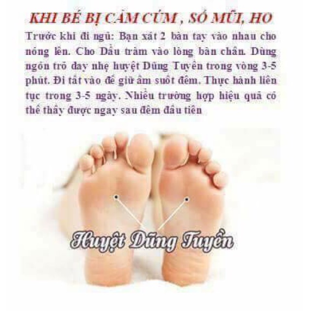 Tinh dầu tràm nguyên chất Hoa Nén