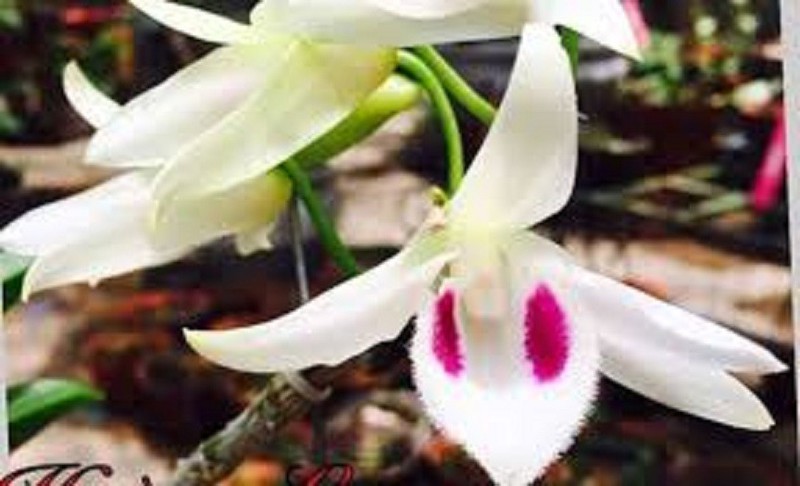 7QpatuROhyCmSVjKOUxF_simg_d0daf0_800x1200_max.jpg