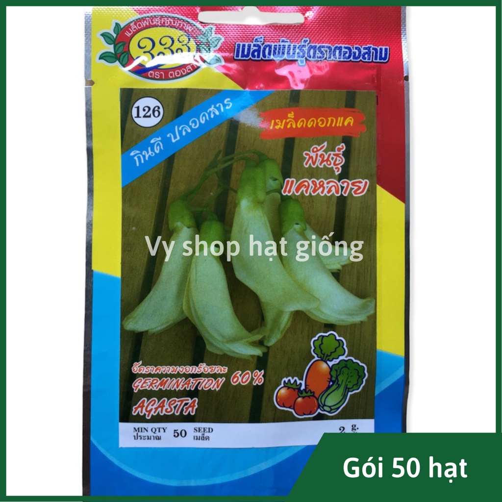 Hạt giống bông so đũa trắng bốn mùa - Agasta Thái Lan gói 50 hạt