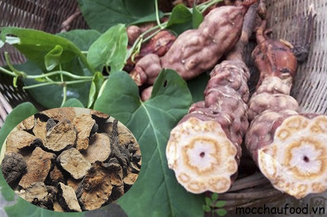 Combo 3 Cây giống hà thủ ô