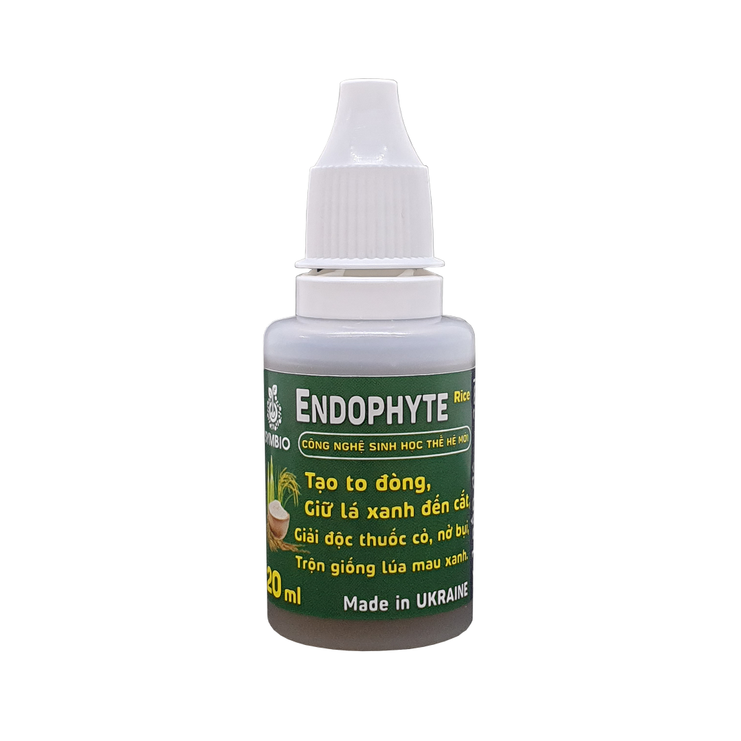 Endophyte rice 20ml