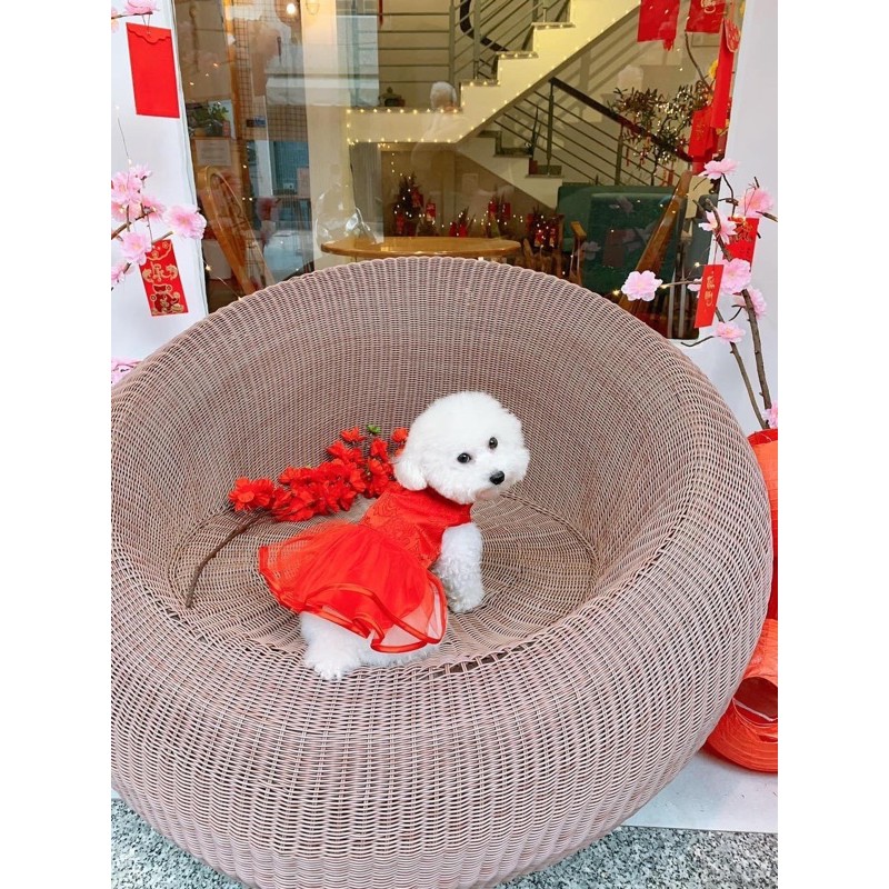 Đầm ren đỏ yudog cho thú cưng chó mèo