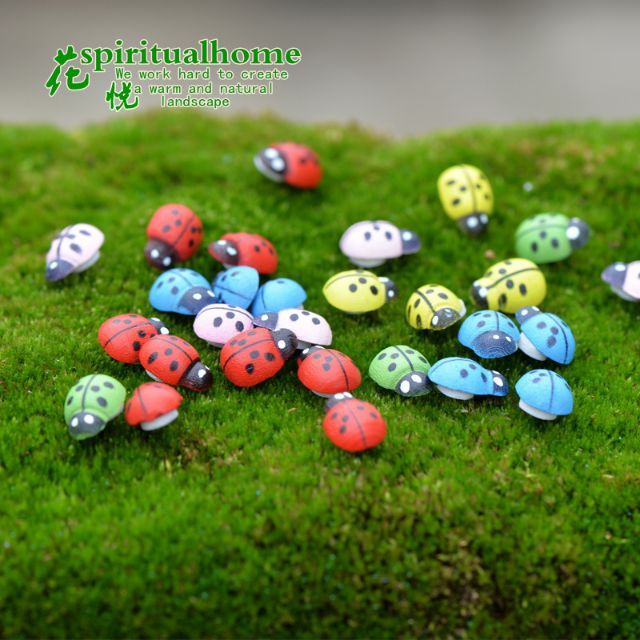 Con bọ nhỏ làm tiểu cảnh