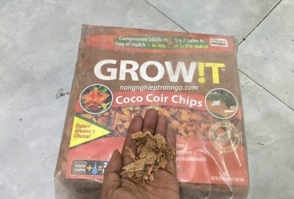 Mụn dừa Coco Coir Chips