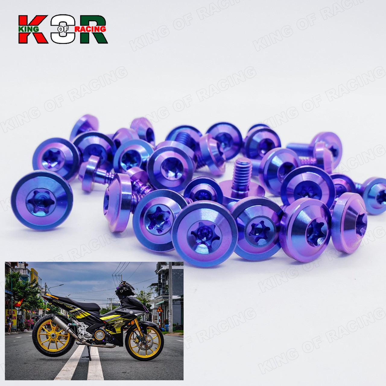 Full ốc titan dàn áo exciter 150 và đĩa, 34 ốc gr5 xanh tím mẫu cao cấp, king of racing