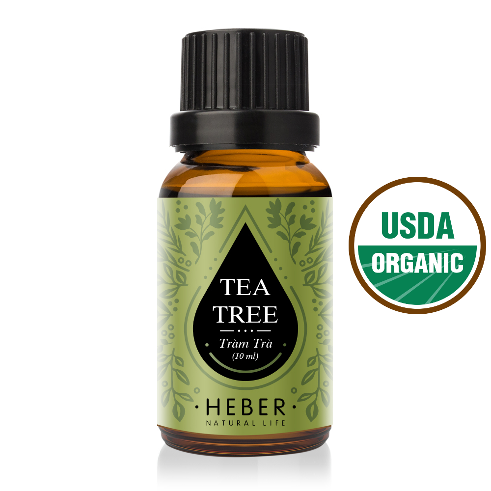 Tinh Dầu Tràm Trà- Tea Tree Essential Oil Heber Vietnam, 100% Thiên Nhiên Nguyên Chất, Cao Cấp Nhập Khẩu, Kiểm Nghiệm Quatest 3, Xông Thơm Phòng, Hương Dịu Nhẹ
