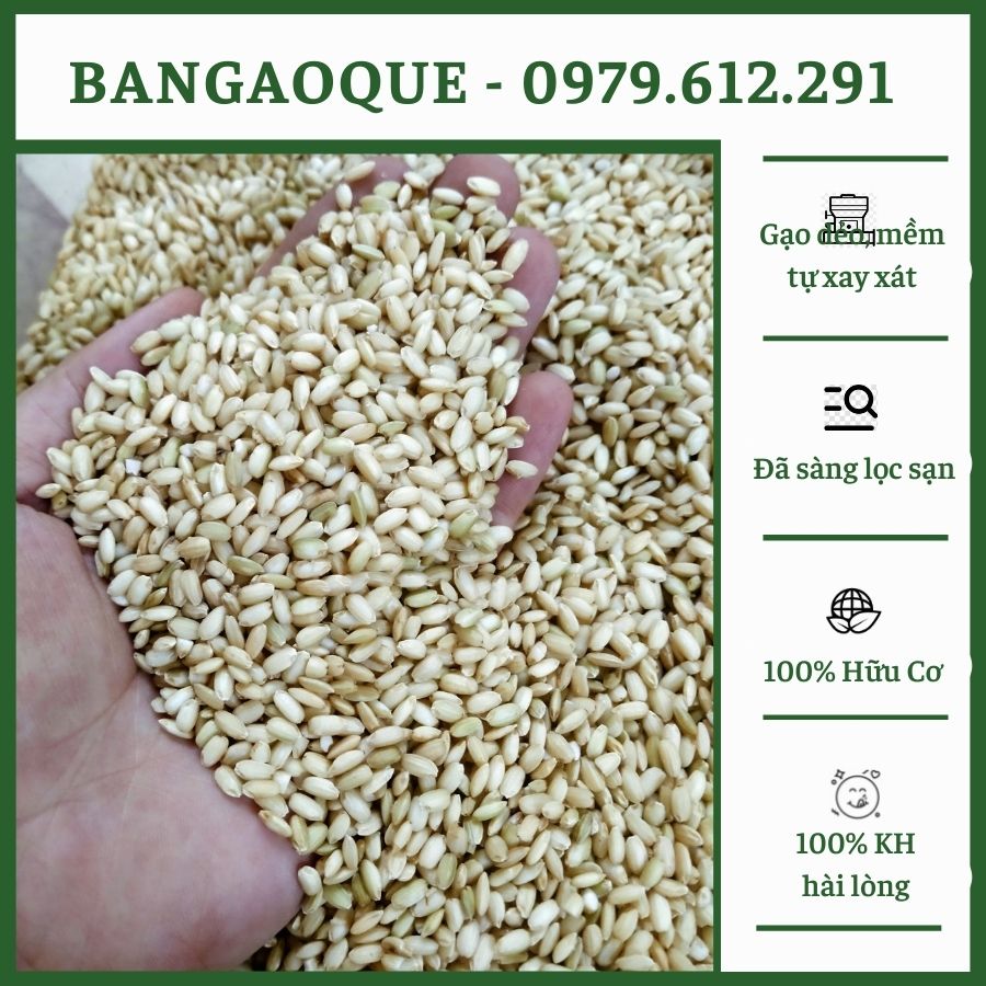 1Kg Gạo Nếp Cái Hoa Vàng Xay Dối - Gạo Nếp Lứt Hữu Cơ