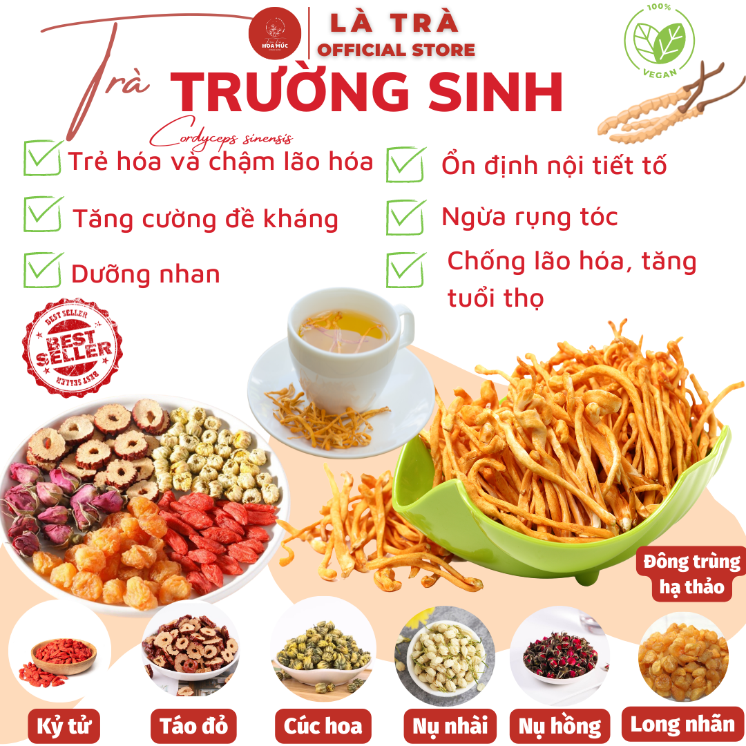 🌿[CHÍNH HÃNG] Trà TRƯỜNG SINH trà đông trùng hạ thảo 7 vị FREESHIP trà dưỡng nhan đẹp da trà táo đỏ kỷ tử đỏ cúc hoa thảo mộc CHỐNG LÃO HÓA