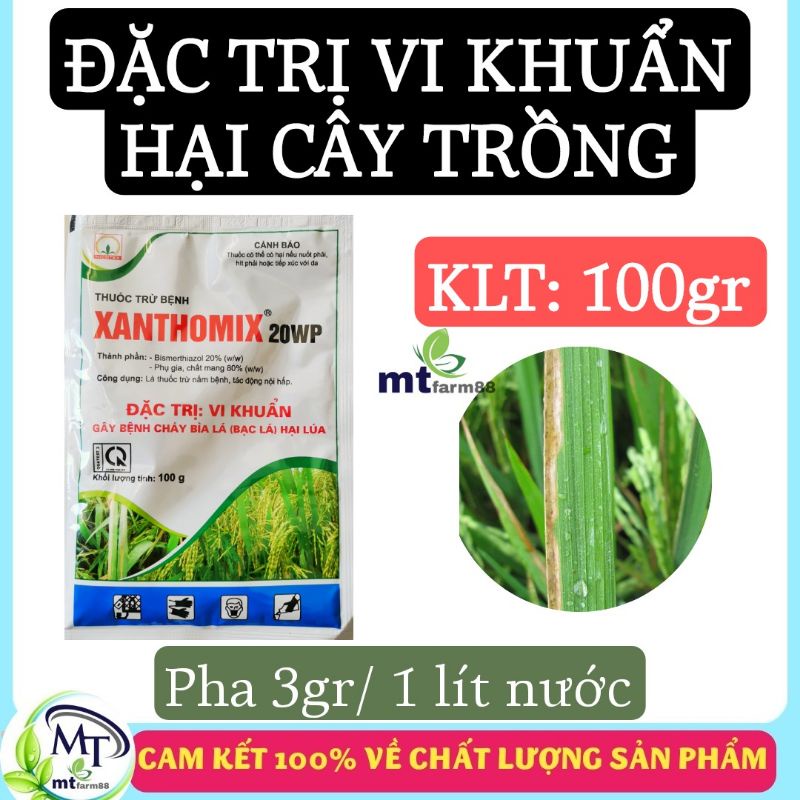 Xanthomix 20wp có thành phần bismerthiazol 20% - 100gr - đặc vi khuẩn gây bệnh cháy bìa lá
