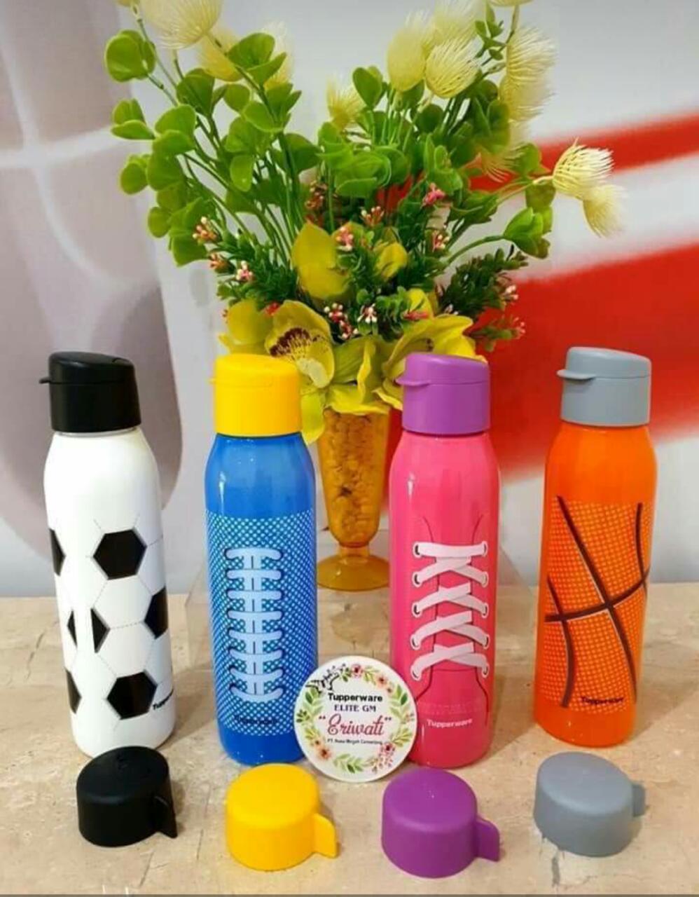 Bình eco fancy 500ml