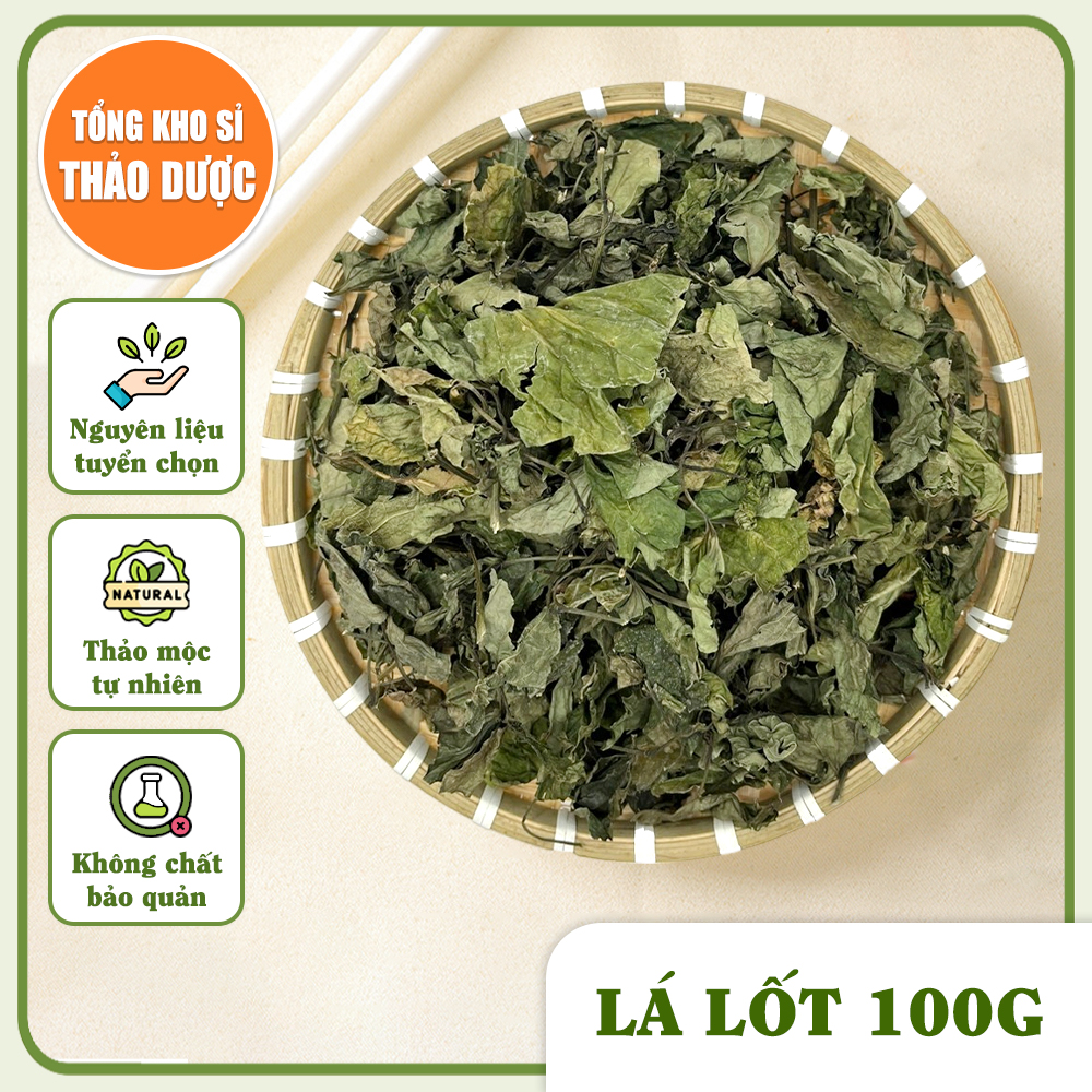 Lá lốt khô 100g, nguyên lá, sạch, thơm, dùng nấu nước uống, xông hơi - Tổng Kho Sỉ Thảo Dược