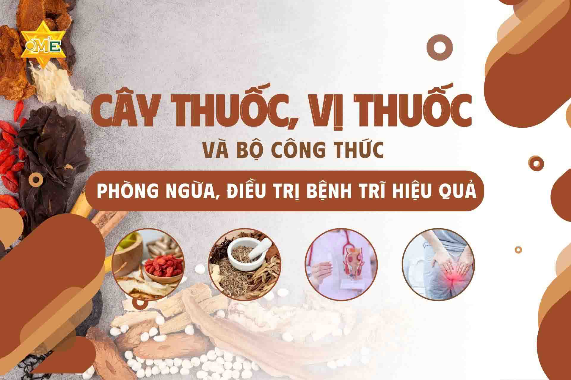 Khóa học Cây thuốc, vị thuốc và bộ công thức phòng ngừa, điều trị bệnh trĩ hiệu quả - Khóa học Online - Trung tâm OM'E