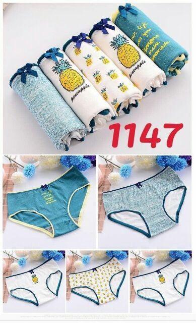 Combo hộp 5 quần cotton siêu cute
